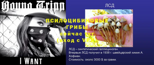 а пвп мука Баксан